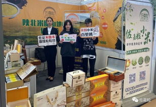 佐嘉粒米脂小米攜手2019一鄉(xiāng)一品國際商品博覽會，致力打造中國小米品牌商品批發(fā)貿(mào)易